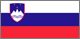 سلوفيني Flag